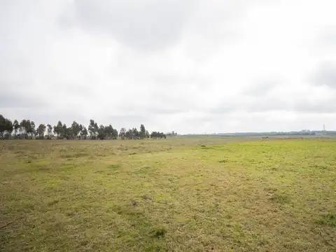 Galpones en Chacra de 9 ha con Vivienda