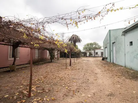 Jose Gervasio Artigas