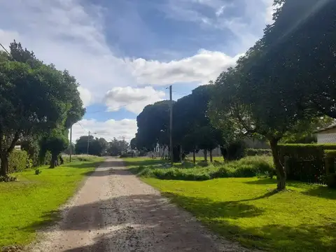 LAS ORCAS ENTRE MADRE PERLA Y CANAI-QUEN