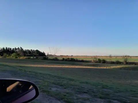 Terreno en venta - 4 Hectareas - General Obligado