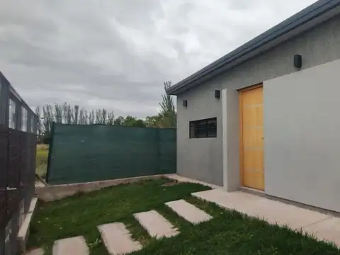 Pincolini 100