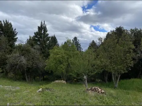 Terreno en Venta en San Martín de los Andes, USD 122.956