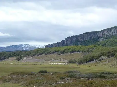 Campo - Tres Lagos