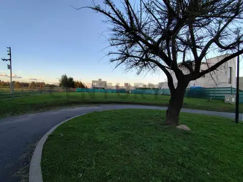 Terreno en Venta de 817,0 m2