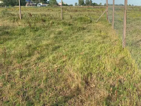 Luisa Faravezzi s/n entre Don Bosco Santo y San Cayetano