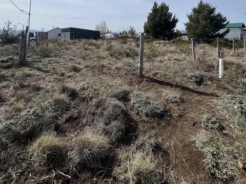 Combate de Acoyte 2974 Esquina