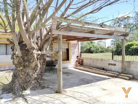 Paseo De Los Olivos e/ San Juan y Laprida