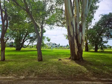 Terreno en Venta de 862,0 m2