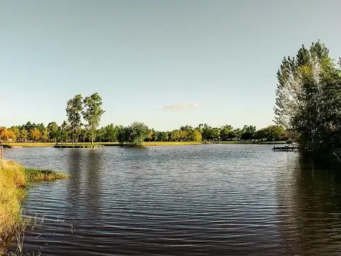 Terreno en Venta en Fincas de San Vicente, USD 54.999