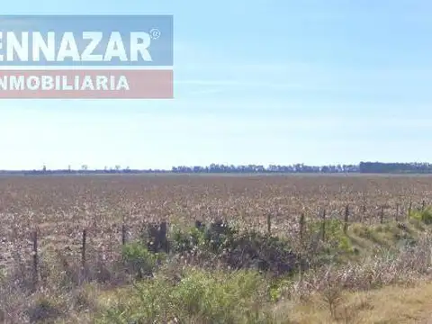 Venta Campo 28 Hectáreas en El Paraíso