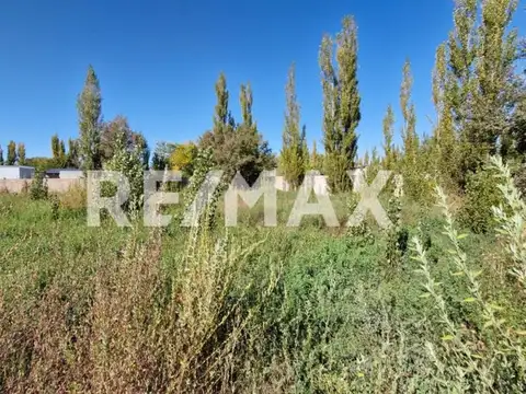 VENTA LOTE  B° CERRADO SOFIA II, PLOTTIER.