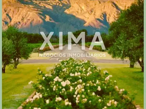 Estancias de Cafayate