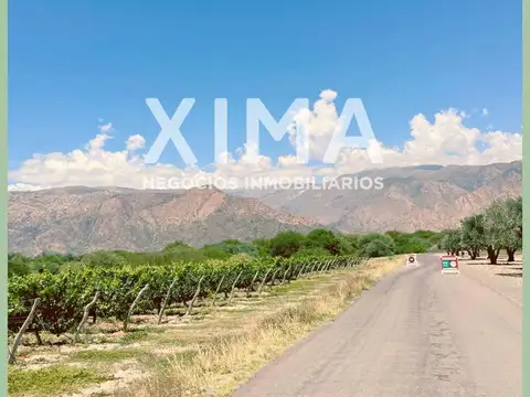Terreno en venta Estancias de Cafayate