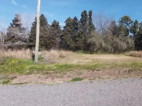 Terreno en Venta de 300,0 m2