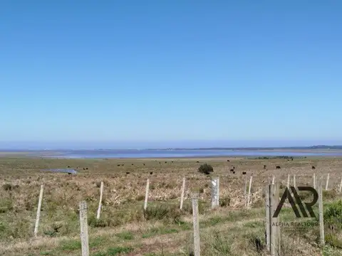 Las mejores chacras de 3 hectáreas, en Laguna deJosé Ignacio, zona polo!