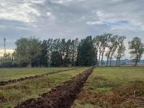 Terreno en Venta 11,78  mts Frente