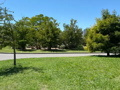 AYRES PLAZA - C3  (   31032 )