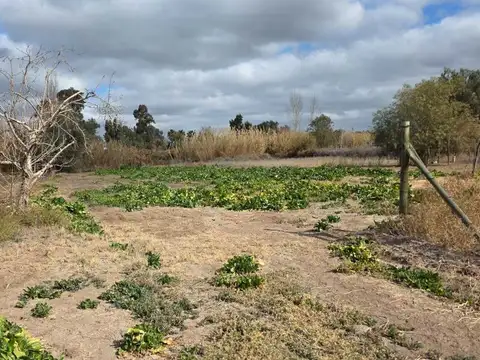 Terreno en Venta de 1583,0 m2