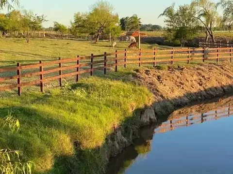 Mar Del Plata Y Lobos