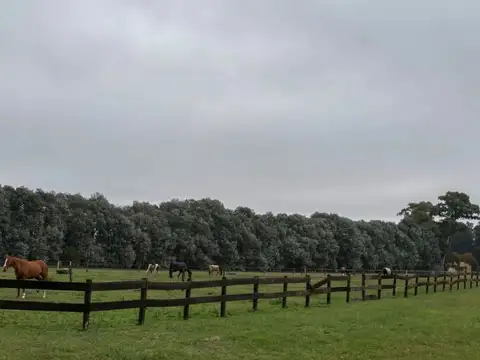 Oportunidad Lote en venta Haras San Pablo