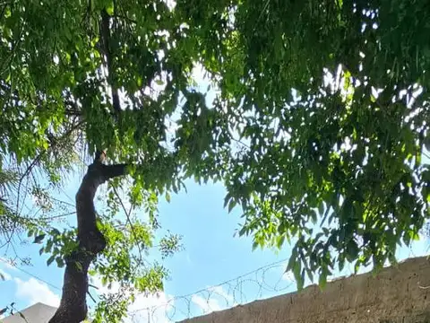 Terreno en Venta 8  mts Frente