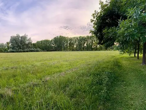 Terreno en Venta de 10867,0 m2