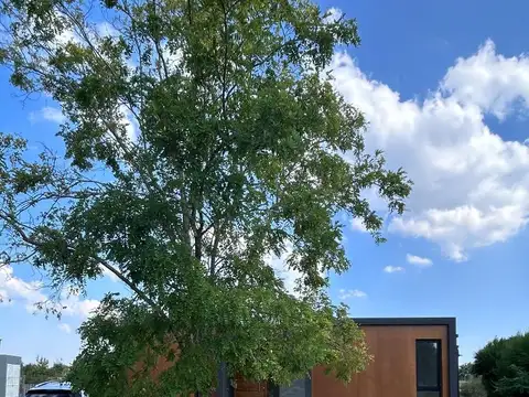 Barrio El Cantón 1000