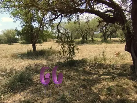 LOTE en BARRIO CERRADO – MERLO – SAN LUIS