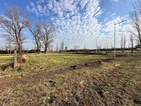 Lote 67 - Espacios de Alem