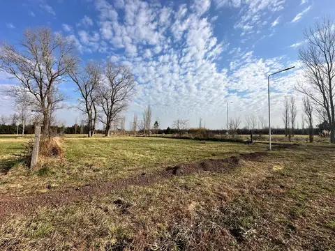 Terreno en Venta de 703,0 m2