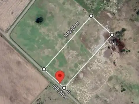 Fighiera, campo de 3,3 hectareas, oportunidad