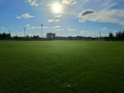 Terreno en Venta de 717,0 m2