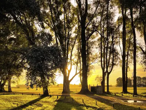 Terreno en Venta de 3043,0 m2