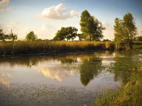 LOTE EN VENTA- Chacras de San Andrés II- Carlos Keen