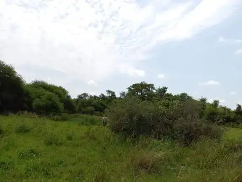 POZO DEL TIGRE