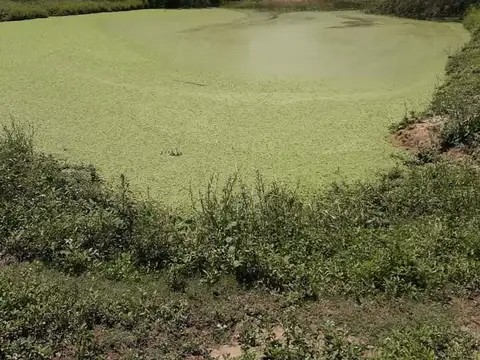 POZO DEL  TIGRE