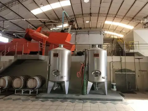 BODEGA VENTA EN FUNCIONAMIENTO SAN MARTIN MENDOZA