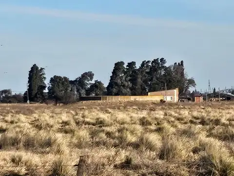 Campo en Rio Cuarto