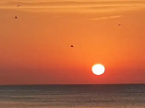 Terreno en Venta de 8312,0 m2