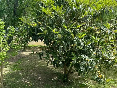 Lote Sobre Río Luján Bahía Escondida