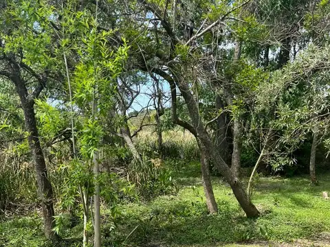 Lote Sobre Río Luján Bahía Escondida