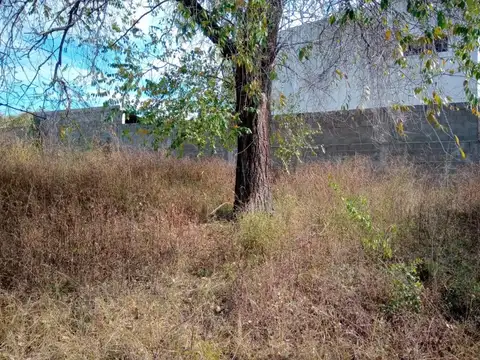 Terreno en Venta de 605,0 m2