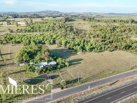 ruta 9