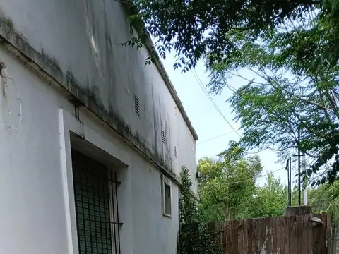 Felipe Boero al 2000