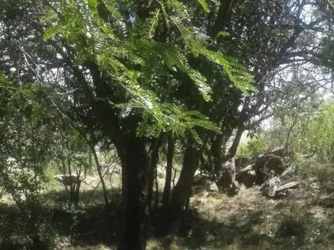 Terreno en Venta de 512,0 m2