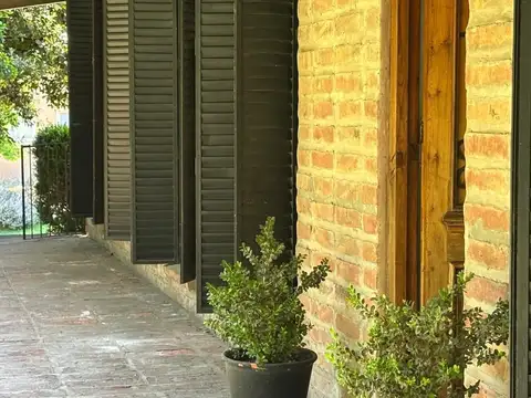 Los lagartos c.c. 100