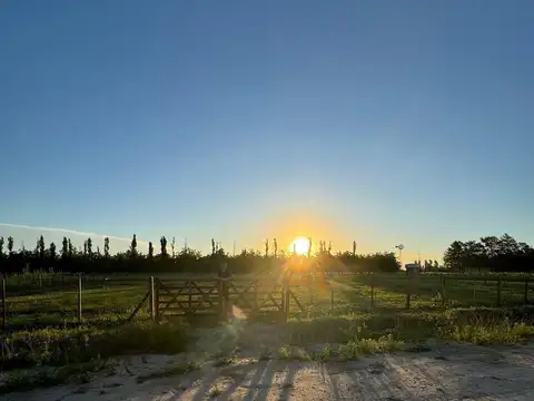 Terreno en Venta de 600,0 m2