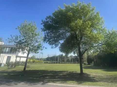 Av. Gaona, B1748 Gral. Rodríguez, Provincia de Buenos Aires