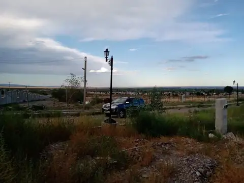 Regalado Olguín 900