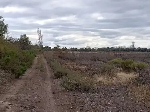 Venta Terreno Inculto San Martin con pozo